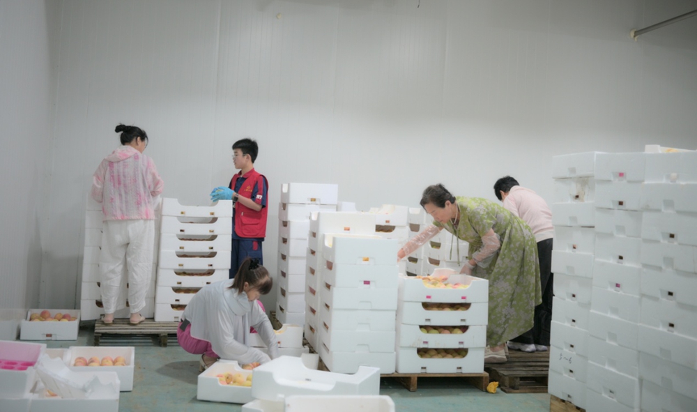 圖片2.jpg
